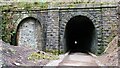 Cyclepath through Newchurch No.2 Tunnel