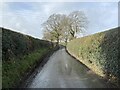 Country road in winter