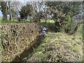 Drainage ditch after February rain