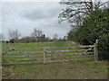 Very distant view to Cound Hall, Shropshire