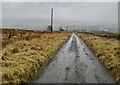 Southern Uplands Way above Sanquhar