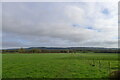 View east from Moor Wood Cottage