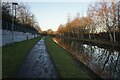 Trent & Mersey canal towards bridge #110