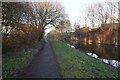 Trent & Mersey canal towards bridge #110