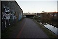 Trent & Mersey canal towards bridge #110