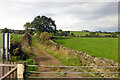 NY7363 : Track across railway to Greengate Lane by Robin Webster