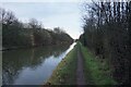 Trent & Mersey canal towards bridge #182