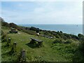 The White Cliffs of Dover [1]