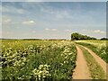 Harcamlow Way, Saffron Walden