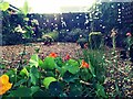 Garden, Strachey Close