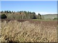 Ploughed field, Eastfield