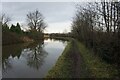 SJ6769 : Trent & Mersey canal towards bridge #178 by Ian S