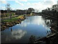 The Hillhead Basin