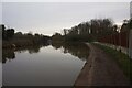 Trent & Mersey canal towards bridge #172A