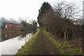 Trent & Mersey canal towards bridge #162