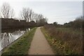 Trent & Mersey canal towards bridge #159