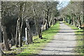 Towpath of the former Thames and Medway Canal