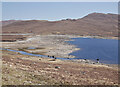 NH2565 : End of Loch Fannich by Craig Wallace