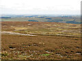 NZ0141 : East Collierlaw Moss by Mike Quinn