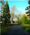 Driveway on the Waddesdon Estate