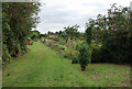 Fairfax Road Allotments from Coldhams Lane