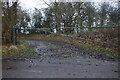 Muddy track off Froghall Lane, Broken Green