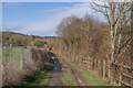 Footpath alongside the A228