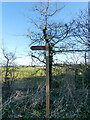 TG3628 : Restricted Byway sign by David Pashley