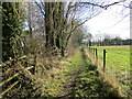 Footpath to Osmanthorpe Manor near Kirklington