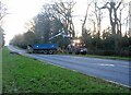 Tree debris removal, Kenilworth Road