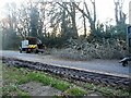 Tree debris removal, Kenilworth Road (3)