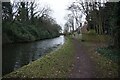 Bridgewater canal towards Walton Bridge