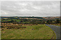 A view of Dartmoor across Postbridge