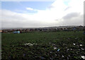 A field seen from Field Head, Golcar