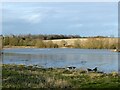 View across Mickle Mere