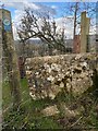 SO8807 : Stone Stile off Catswood Lane, Stancombe, Bisley GS1076 by Malcolm Christie