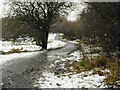 Footpath, Craigdhu Wedge