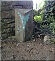 Old Boundary Marker off the B3128, Ashton Road