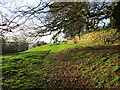 Footpath at Coleby