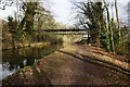 Trent & Mersey Canal towards bridge #200