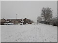 Snowy morning, Motherwell