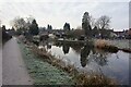 Trent & Mersey Canal towards bridge #65