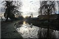 Trent & Mersey Canal towards bridge #57