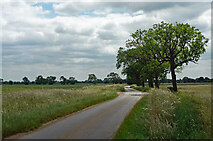 TF0914 : Country road near Obthorpe (1) by Stephen Richards