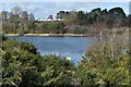 Lake on Ham Common