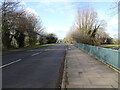 Canal Bridge View