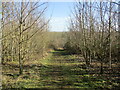 Bridleway from Gunthorpe