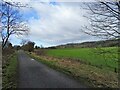 Looking west along the old railway