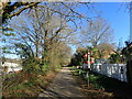 The Cuckoo Trail passing Frenches Halt