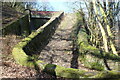 Bridleway up to Snail Creep Bridge